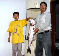 ԭʼͼƬ145.46KB,������