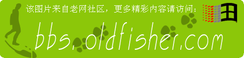 ϤIibsf}d