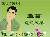 ԭʼͼƬ74.89KB,