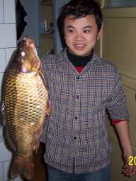 ԭʼͼƬ190.55KB,������