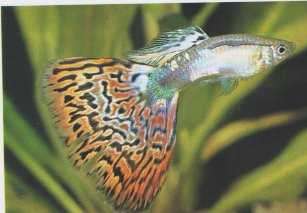 ԭʼͼƬ192.25KB,������