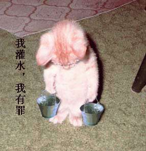 ԭʼͼƬ84.3KB,������