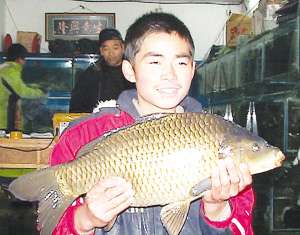 ԭʼͼƬ206.6KB,������