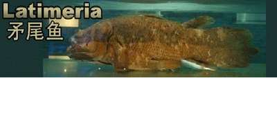 ԭʼͼƬ216.85KB,������