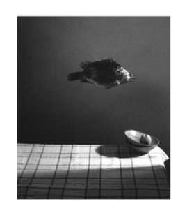 ԭʼͼƬ248.61KB,������