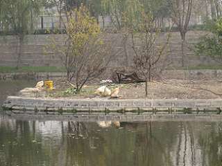 ԭʼͼƬ225.05KB,������