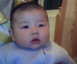 ԭʼͼƬ222.31KB,������