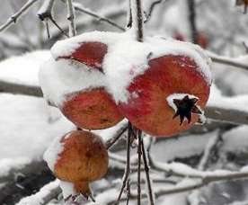 ԭʼͼƬ184.41KB,������