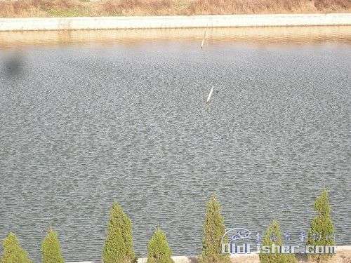 ԭʼͼƬ55KB,������