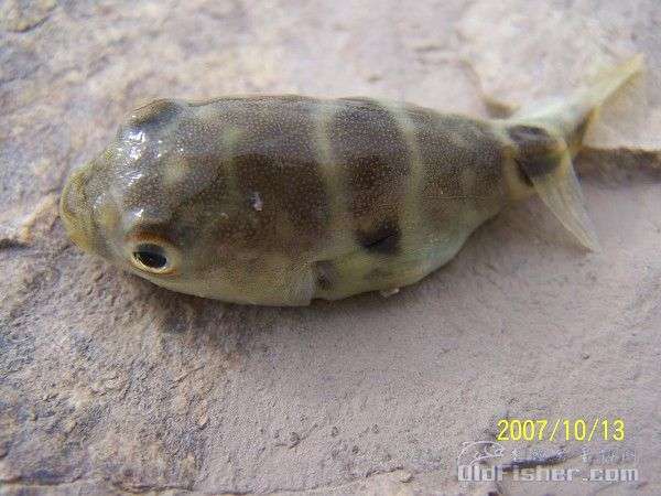 ԭʼͼƬ52.93KB,������