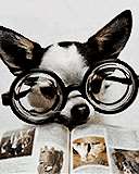 ԭʼͼƬ60.05KB,������