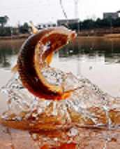 ԭʼͼƬ106.88KB,������