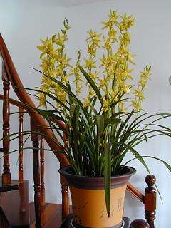 ԭʼͼƬ225.05KB,������