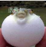 ԭʼͼƬ67.59KB,������