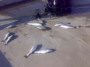 ԭʼͼƬ197.81KB,������