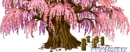 ԭʼͼƬ77.8KB,������