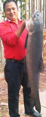 ԭʼͼƬ247.87KB,������