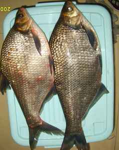 ԭʼͼƬ209.82KB,������