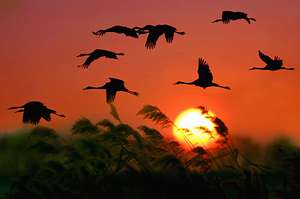 ԭʼͼƬ174.96KB,������