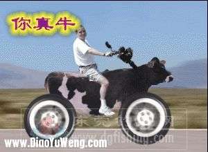 ԭʼͼƬ193.41KB,������