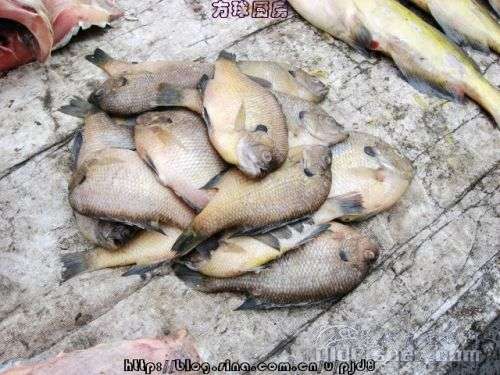 ԭʼͼƬ52.35KB,������