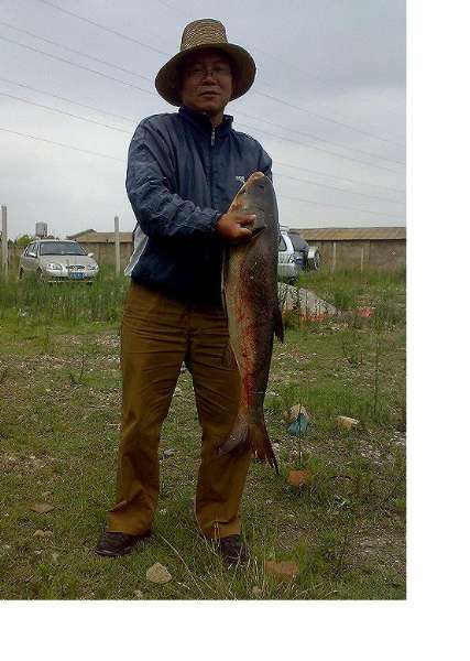 ԭʼͼƬ93.18KB,������