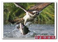 ԭʼͼƬ114.12KB,������