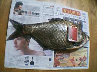 ԭʼͼƬ225.05KB,������