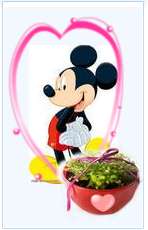 ԭʼͼƬ133.02KB,������