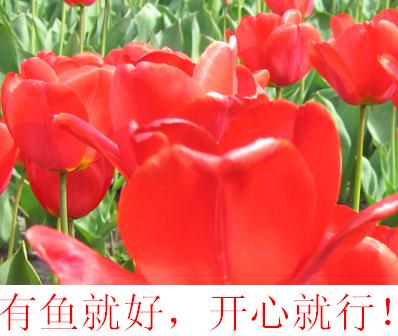 ԭʼͼƬ24.2KB,������