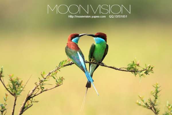 ԭʼͼƬ55.61KB,������