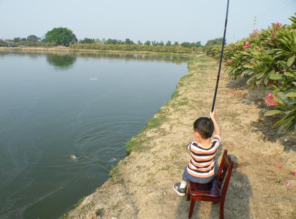 ԭʼͼƬ72.4KB,������