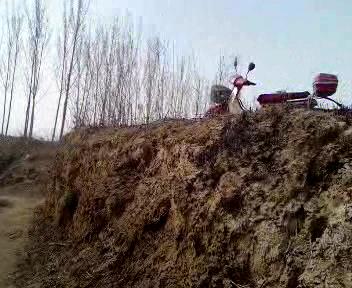 ԭʼͼƬ25.37KB,������